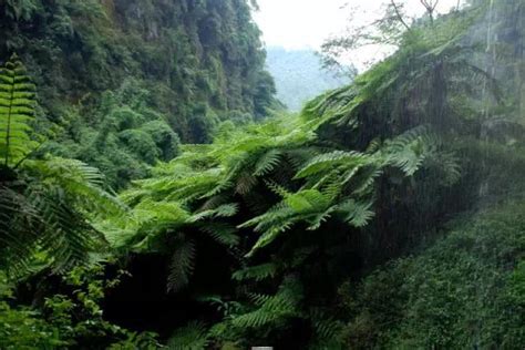 德慶盤龍峽|盤龍峽, 肇慶景點,